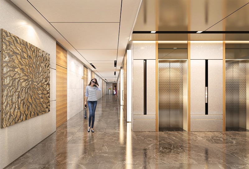 cau tao thang may chung cu